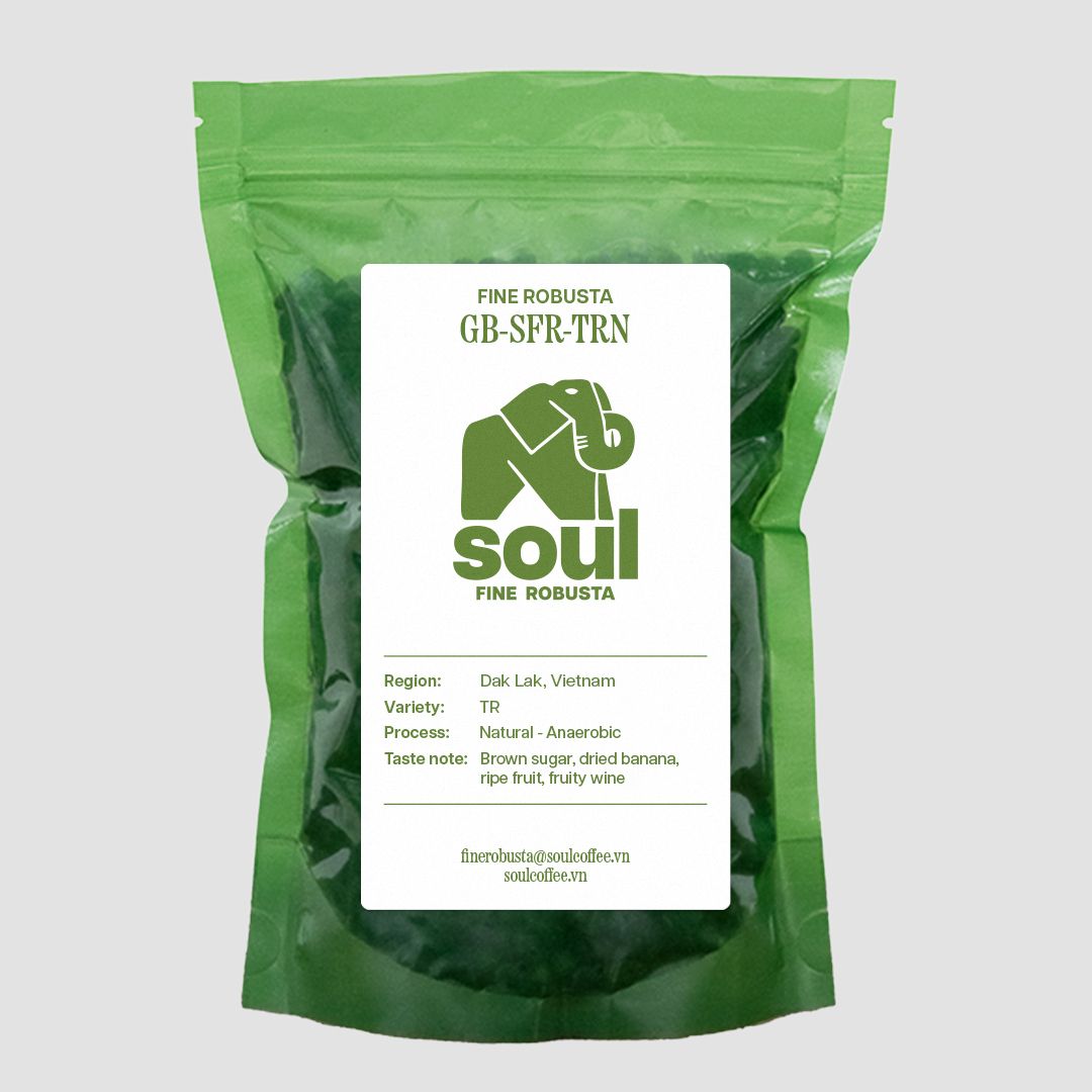 Fine Robusta - TR - Natural - Anaerobic