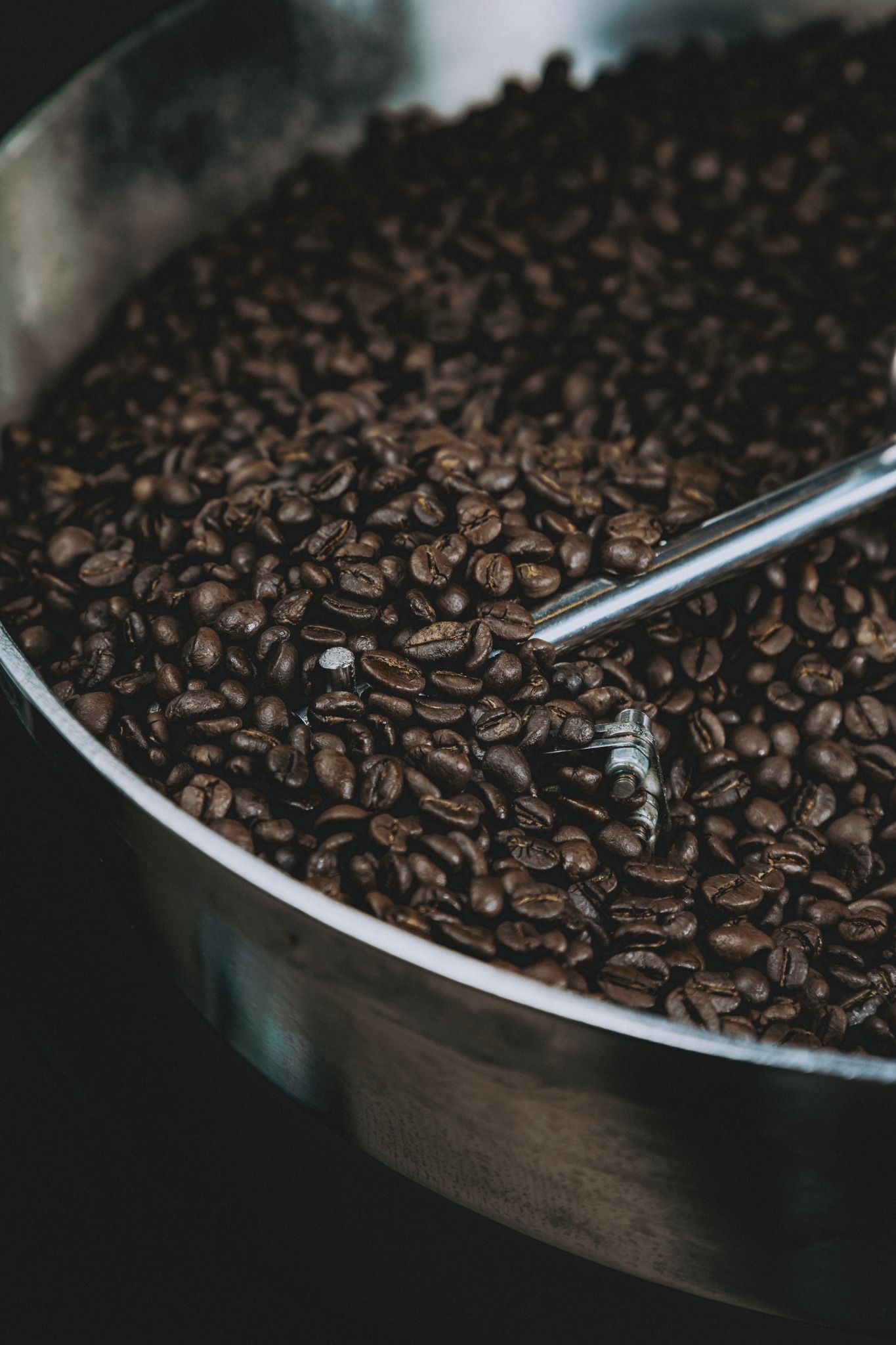 CÀ PHÊ CHẤT LƯỢNG CAO - ARABICA - ROBUSTA | PHA MÁY - PHA PHIN