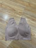  BRA DKNY NỮ 