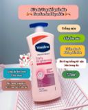  Lotion dưỡng thể Vaseline 725ml 