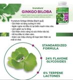  VIÊN UỐNG BỔ NÃO MỸ _ GINKGO BILOBA 