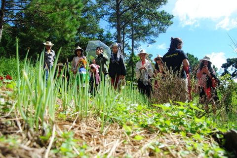 Hình ảnh cho tour huấn luyện dã ngoại tại đà lạt