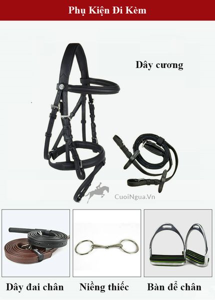 Yên Cưỡi Ngựa Thế Thao Quý Tộc Nước Anh Baslong Horse Saddle