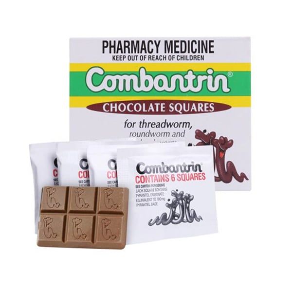 Kẹo tẩy giun vị socola Combantrin Chocolate Squares của Úc 24 miếng