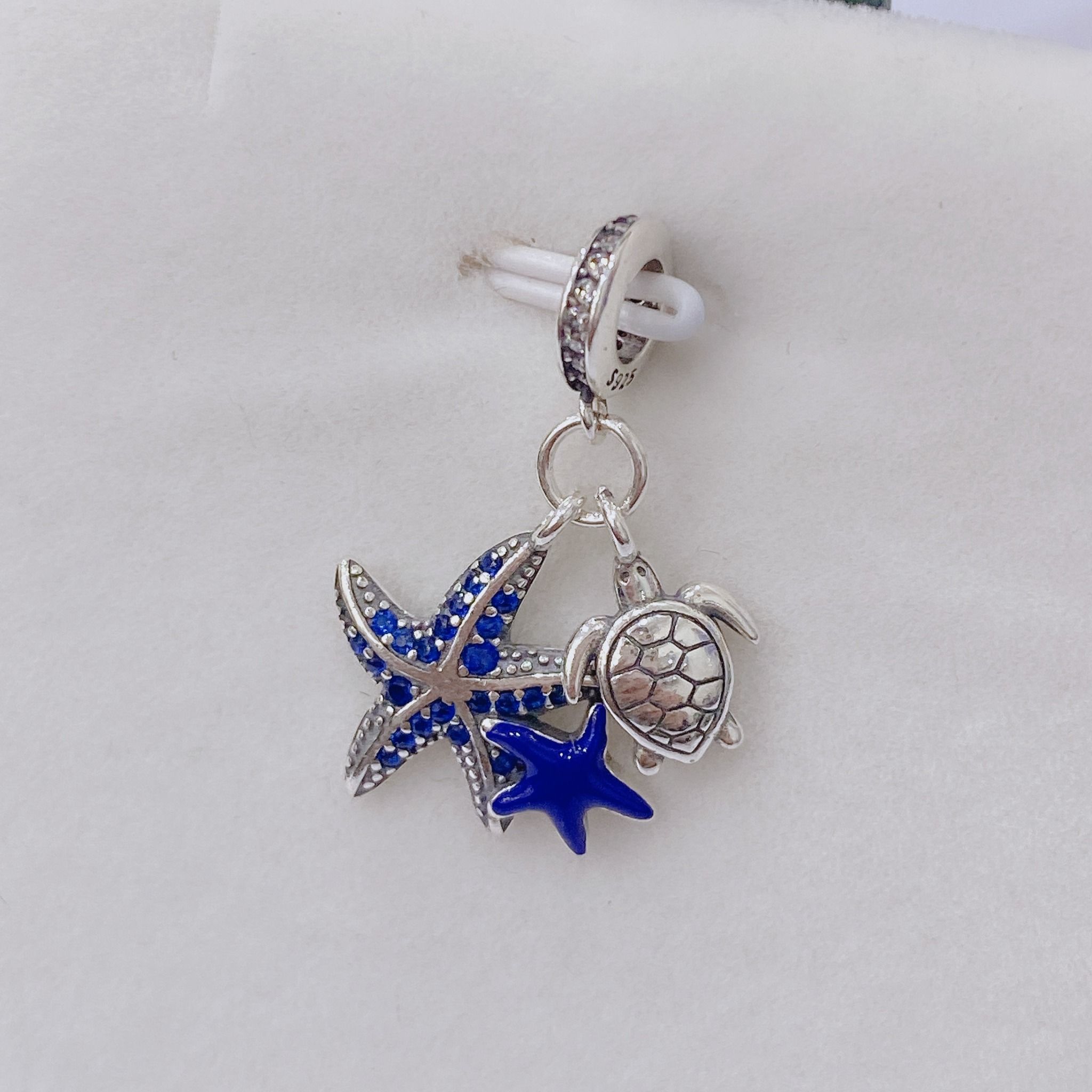 C445 Charm thế giới đại dương
