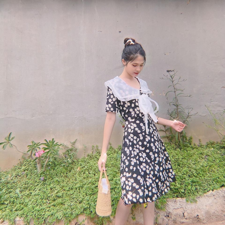 Đầm hoa cúc đen phối cổ trắng nơ