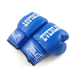  Găng Boxing Everlast Trung 