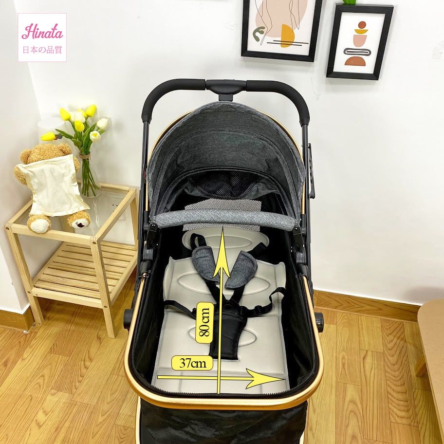 Xe đẩy nôi di động XD09 - 2 chiều đẩy thuận tiện - Điều chỉnh 3 tư thế