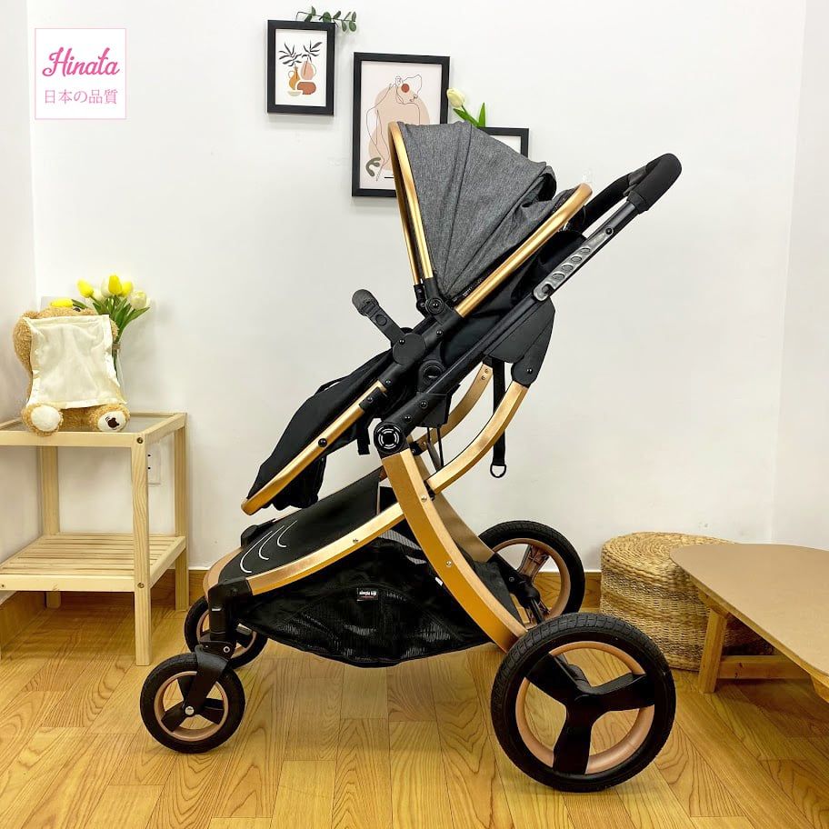 Xe đẩy nôi di động XD09 - 2 chiều đẩy thuận tiện - Điều chỉnh 3 tư thế