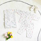  [01 Set] Bộ tay dài chất cotton siêu mềm mịn Hinata  BF82 