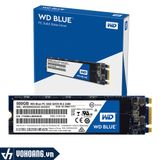  Western Digital Blue M.2 2280 250GB | Ổ Cứng SSD Chuẩn M.2 Cao Cấp 