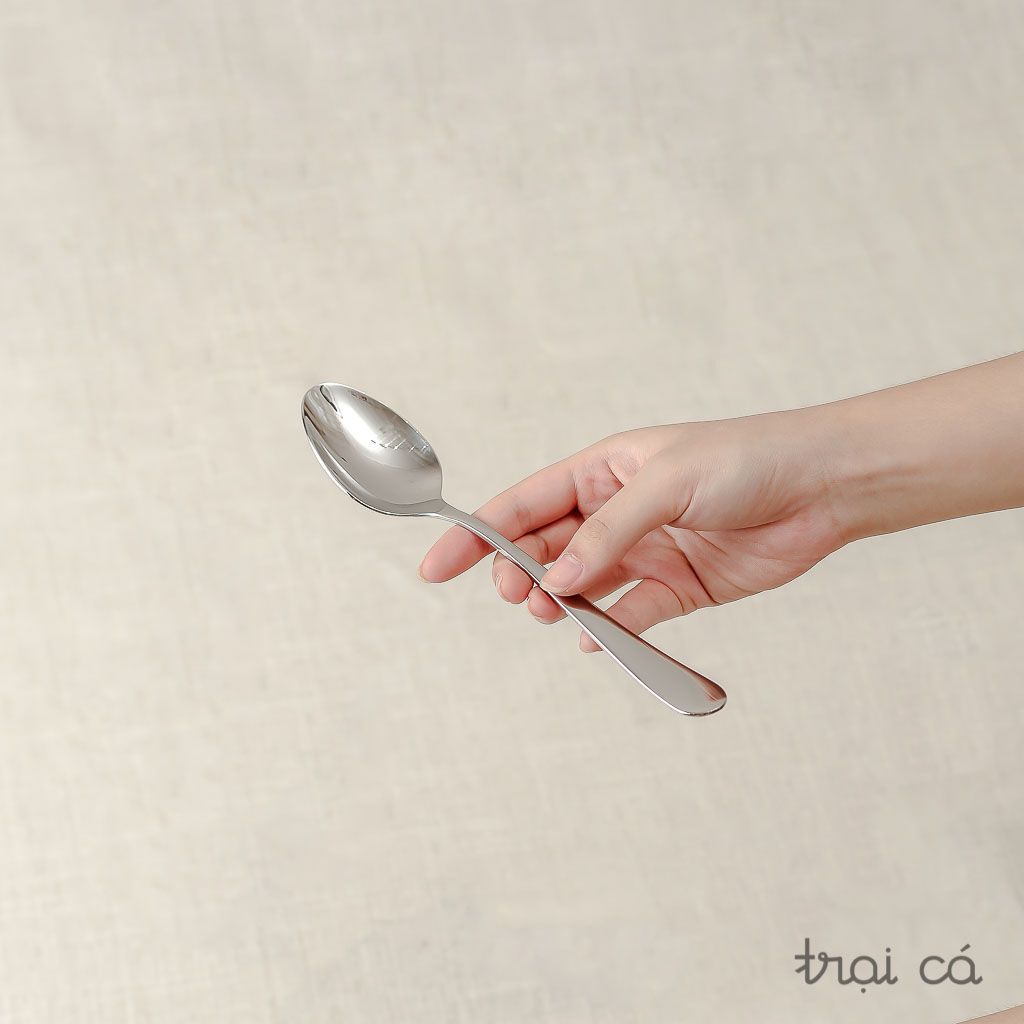 Bộ 16 chiếc thìa dĩa cao cấp REGAL vân trơn Elegance