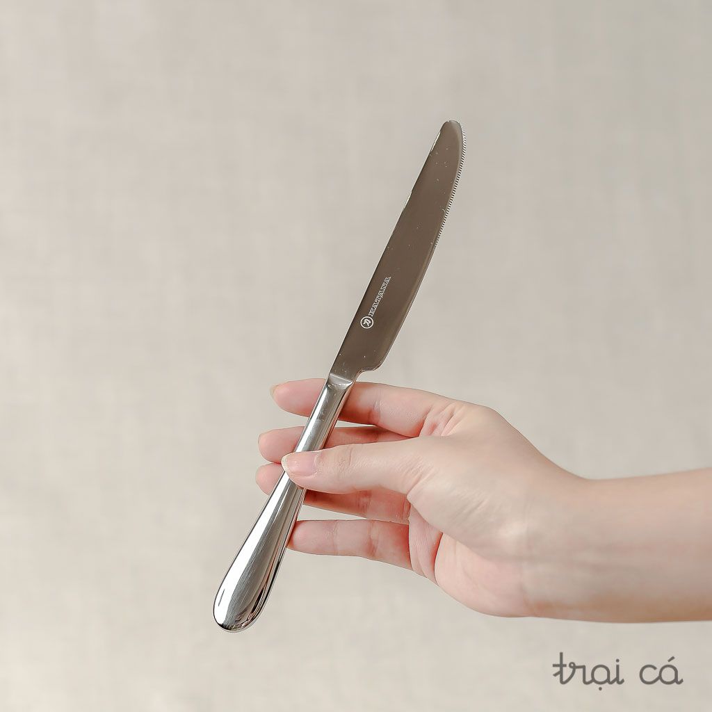 Bộ 16 chiếc thìa dĩa cao cấp REGAL vân trơn Elegance