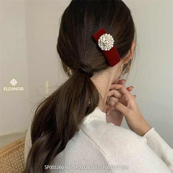 PKT kẹp tóc - SP005261 bi