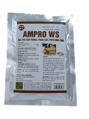 AMPRO WS