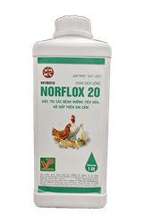 NORFLOX 20