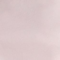 Áo Thun Nữ Tay Ngắn Basic FWTS24SS04G
