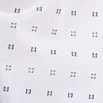 Áo Sơ Mi Nữ FWWS20S004-L3