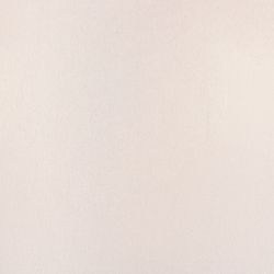 Áo sơ mi nữ tay cánh tiên trơn FWWS21SS01C