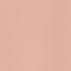 Áo sơ mi nữ basic FWWS21SS26C