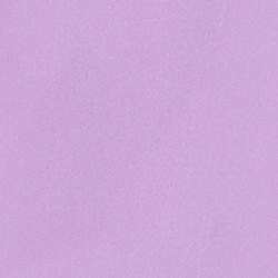 Áo sơ mi nữ basic FWWS21SS26C