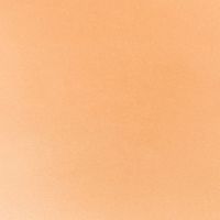 Áo Sơ Mi Nữ Tay Dài FWWS23SS04G