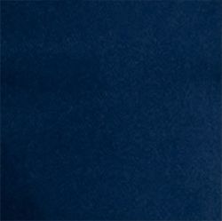 Quần Short Jeans Form Vừa SP24FH12C-AKJN