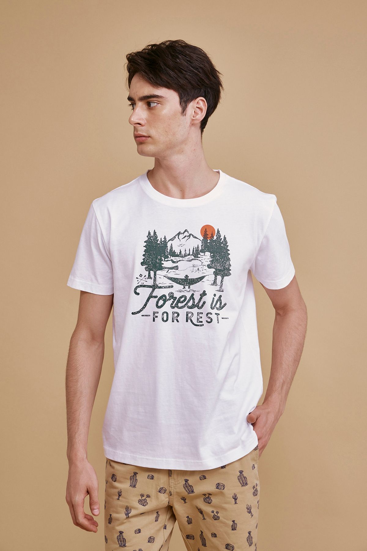 TS21SS11T-RG