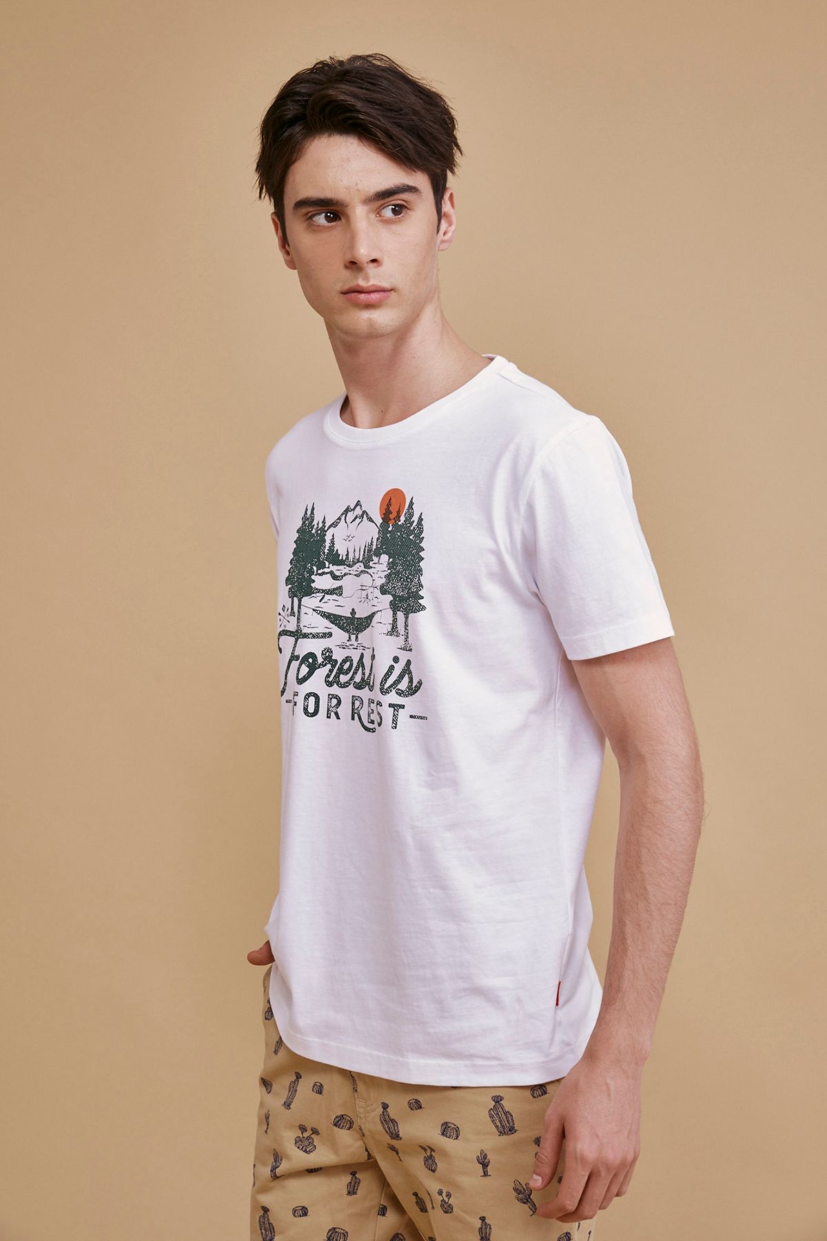 TS21SS11T-RG