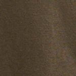 TS21SS16C-RG