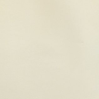 Áo sơ mi button-down form vừa WS21SS50C-LC