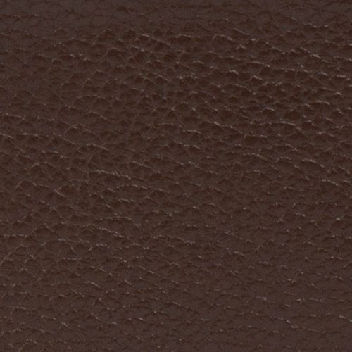 Ví WT21SS03-HZ