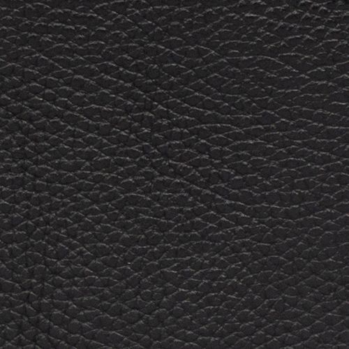 Ví WT21SS03-HZ