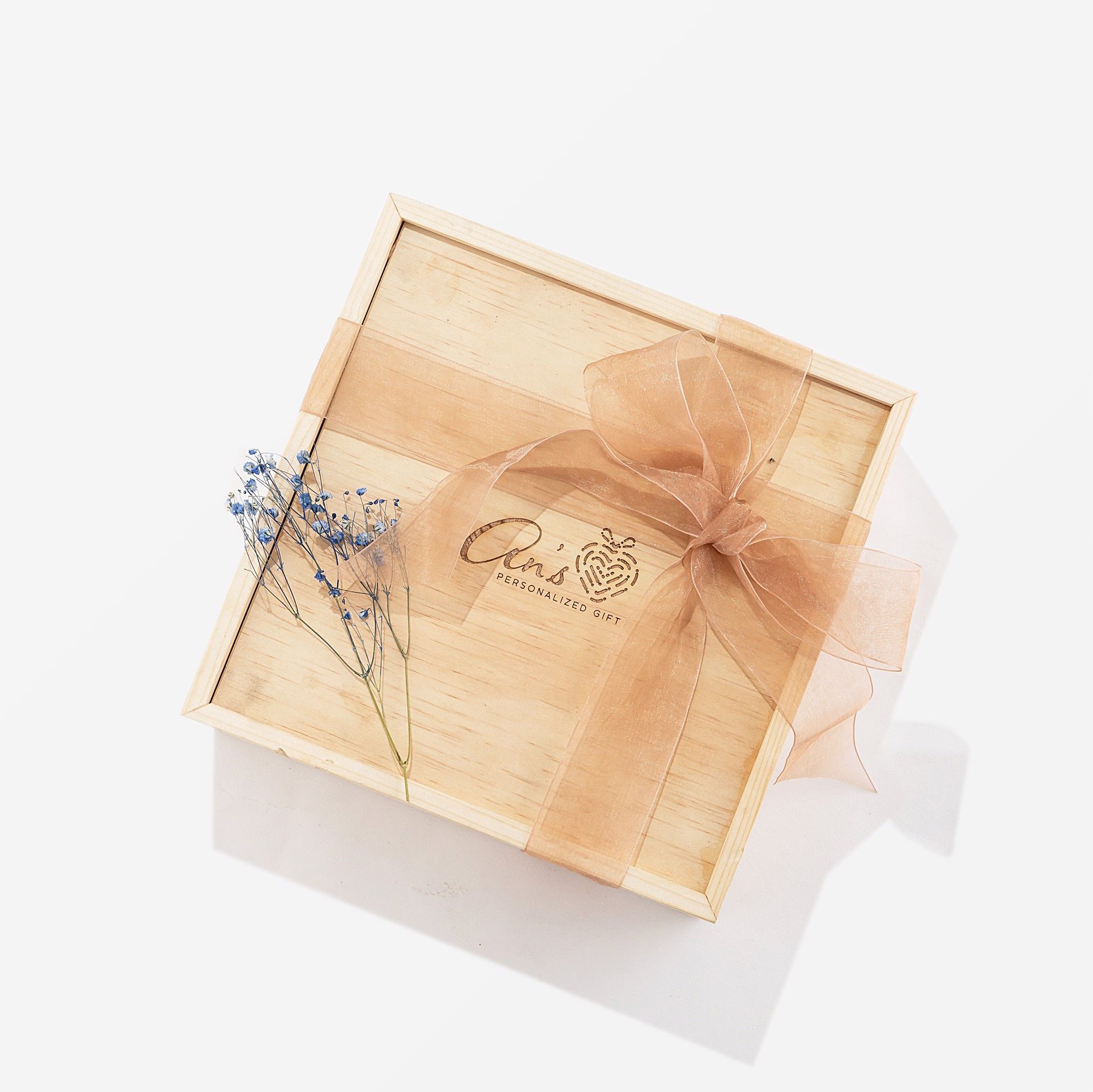Hộp quà Tết ANS 03