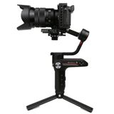  Gimbal weebill S 2nd 