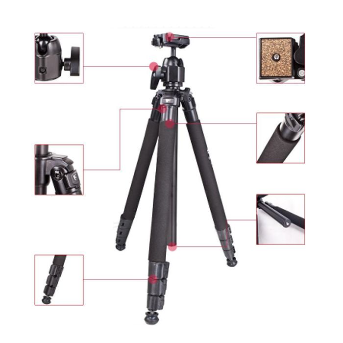 Chân máy ảnh Weifeng 6665A