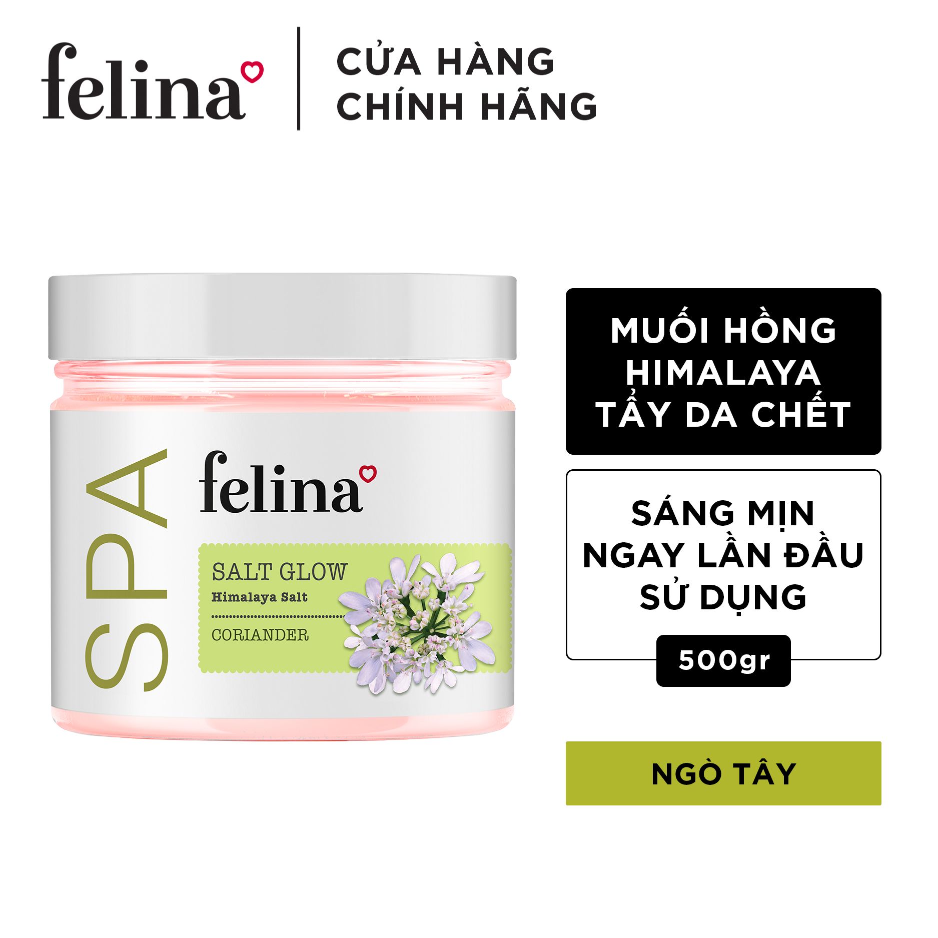 Muối tắm tẩy tế bào da chết chiết xuất Ngò 500g