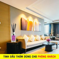 Nước hoa thơm phòng AREON VANILLA Hương Vani ( Ngọt Ngào ) 85ml