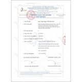 FORREST HAVEN - Nến Thơm Thiên Nhiên 50g