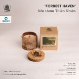 FORREST HAVEN - Nến Thơm Thiên Nhiên 50g