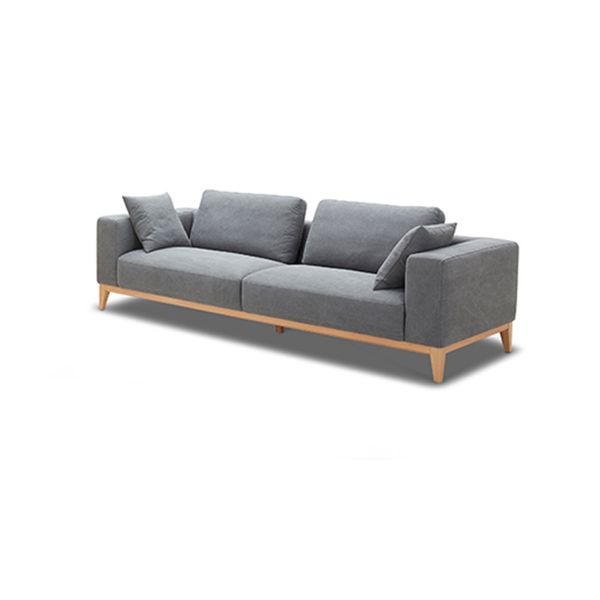 Sofa Băng 2, Da
