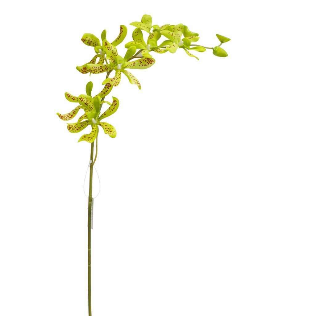 Cành hoa 76*13*5 cm, màu xanh lá