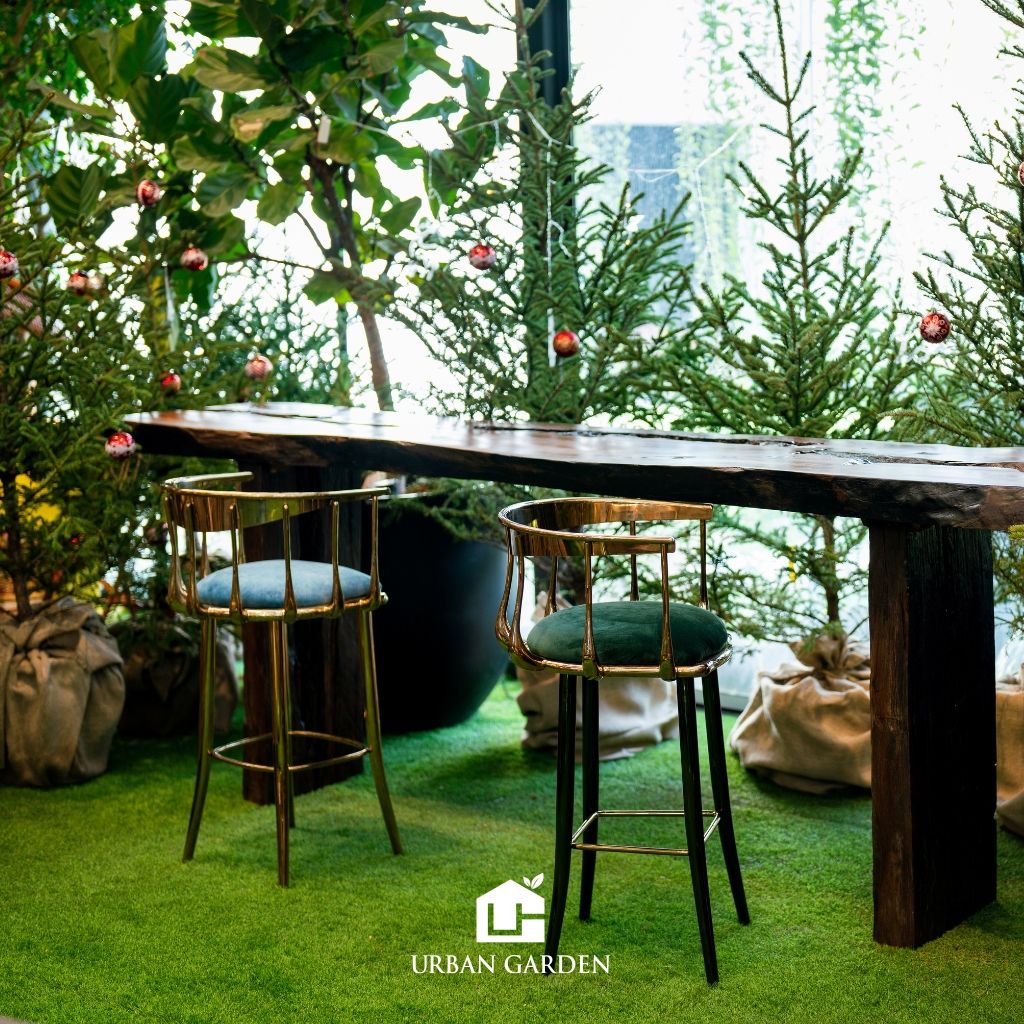Ghế Bar Cesi