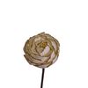  Hoa Khô Queen'S Rose - Gold (9 cm) 