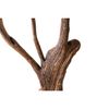  Cây lũa decor Reborn Wood Driftwood 12EX3 C3M65 LUA03 