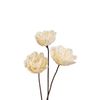  Hoa Khô Wavy Blossom Diffuser (12cm) 