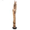  Cây lũa decor Reborn Wood Driftwood Flash 2M 12AX3 D35cm 