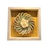  Sea Shell Art D23 