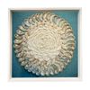  Sea Shell Art D50 