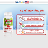  FAROSON GLUTAMAX 1000 